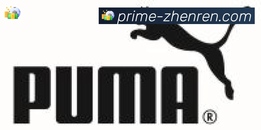 PA真人合作伙伴